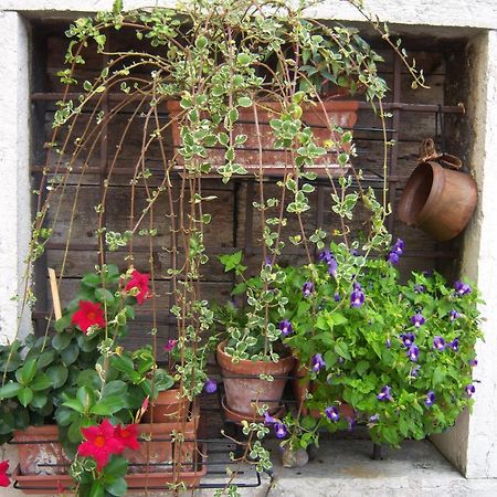 B&B Corte Barbieri Dolce Bagian luar foto