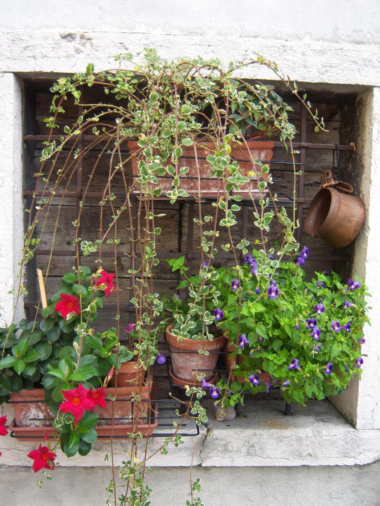 B&B Corte Barbieri Dolce Bagian luar foto