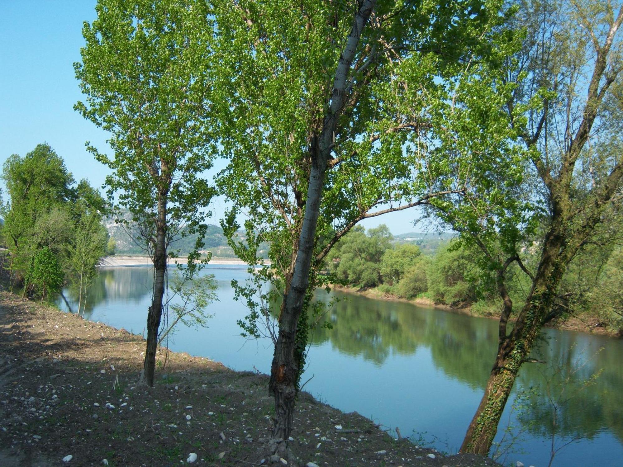 B&B Corte Barbieri Dolce Bagian luar foto