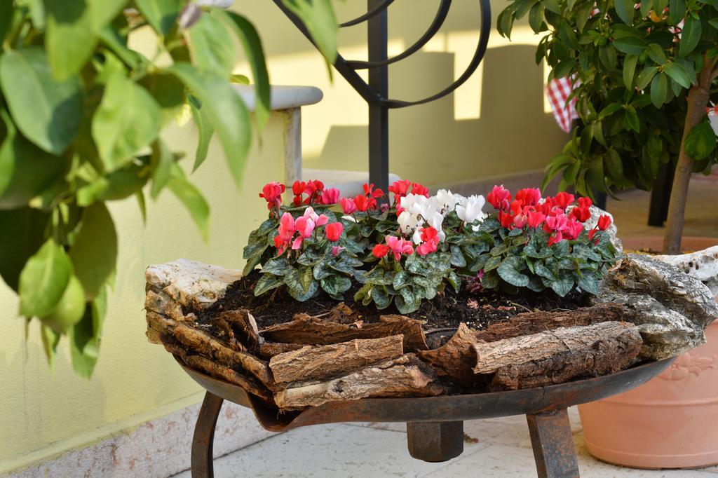 B&B Corte Barbieri Dolce Bagian luar foto